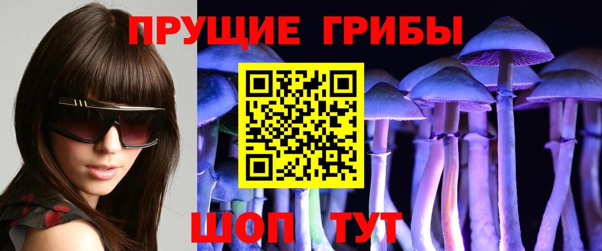 Галлюциногенные грибы MAGIC MUSHROOMS Омск